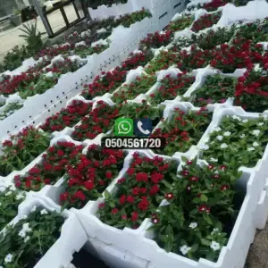 تضليلات المملكة للمظلات والسواتر - 0659